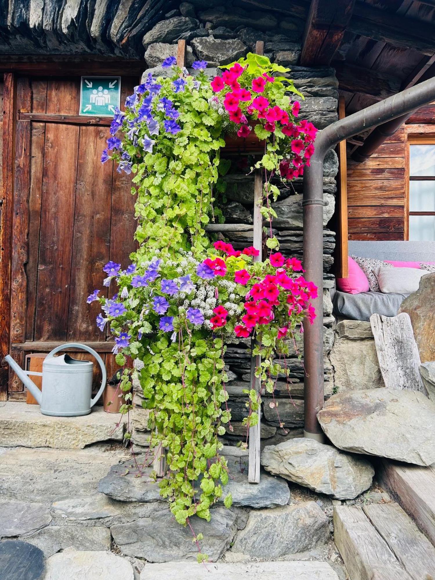 Bed and Breakfast La Ferme D'Angele Бур-Сен-Морис Экстерьер фото